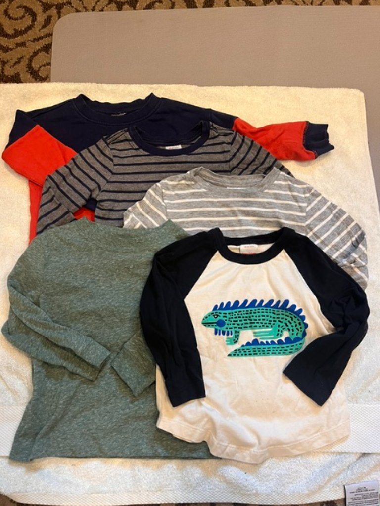 Five Hanna Andersson Long Sleeve T Shirts